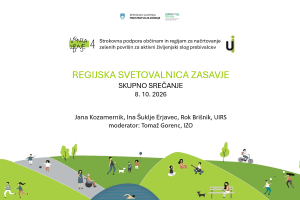 Slika: Spletno srečanje Regijske svetovalnice Ven za zdravje 4 za zasavske občine